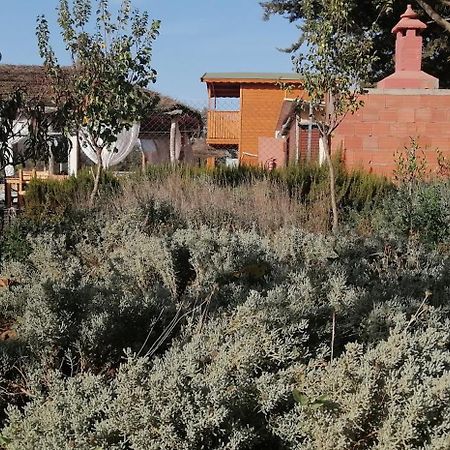 Villa Ferme Sacree Nature à Benslimane Extérieur photo